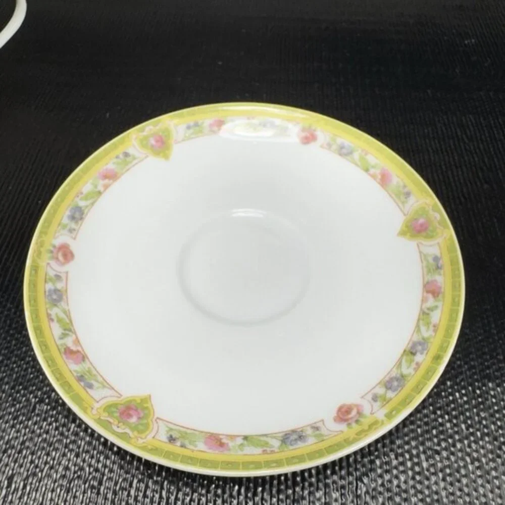 Theodore Haviland Limoges‎ France Fine Porcelain Teacup Saucer Set Green Floral